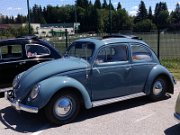 Beetle Show Rioz (12)